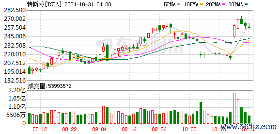 K图 TSLA_0